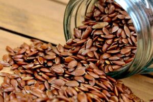 Can babies eat Flax Seeds