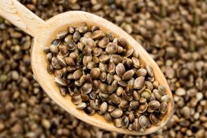 Can babies eat Hemp Seeds