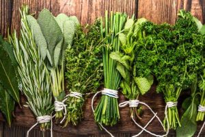 Can babies eat Herbs