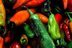 Can babies eat Jalapenos