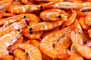 Can babies eat Prawns