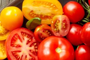Can babies eat Tomatoes