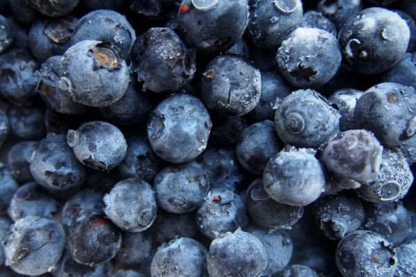 Can Babies Eat Blueberries