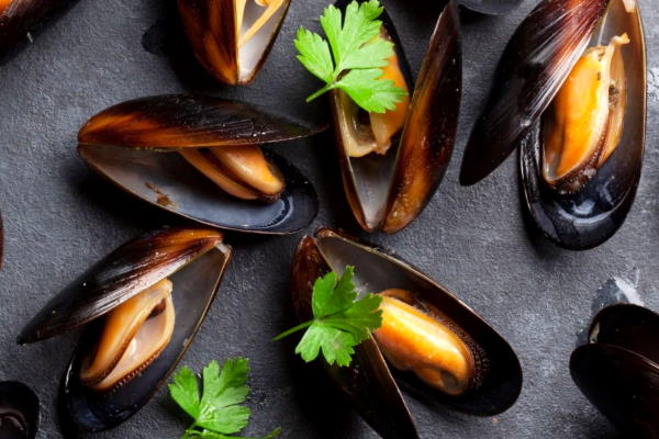 Can Babies Eat Mussels