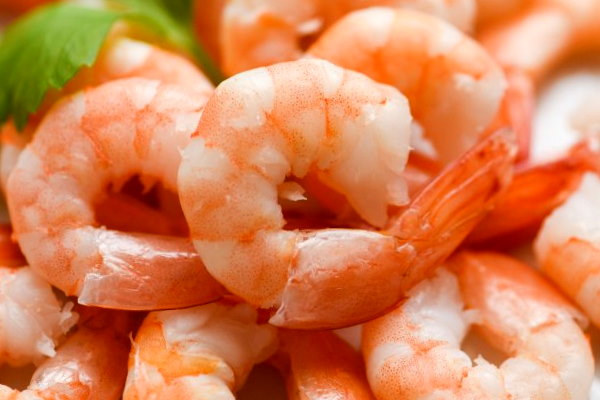 Can Babies Eat shrimp