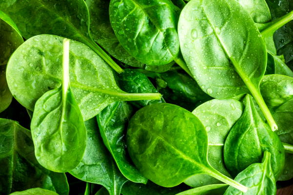 Can Babies Eat Spinach